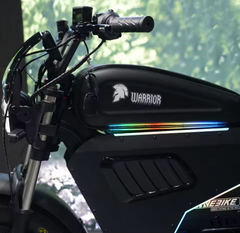 Owayebike Warrior  E Bike