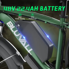 48V 2000W Electric Fat Bike Electric Bicycle