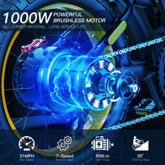 Electic Mauntain Bike