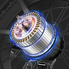 Ridstar Q16 Fat Tire Electric Bike