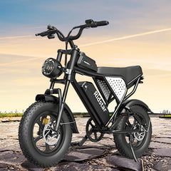 Ridstar Q16 Fat Tire Electric Bike
