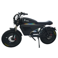 Owayebike Warrior  E Bike