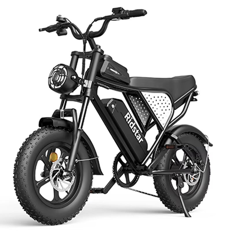 Ridstar Q16 Fat Tire Electric Bike