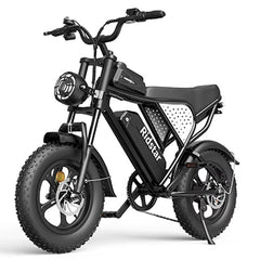 Ridstar Q16 Fat Tire Electric Bike